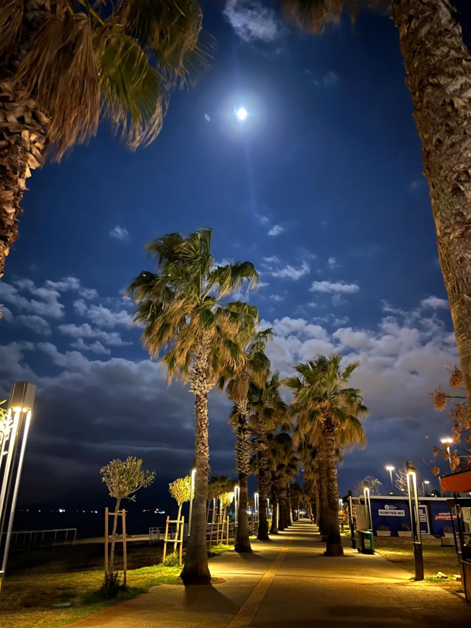 La Cactus Butik Otel Antalya Eksteriør bilde